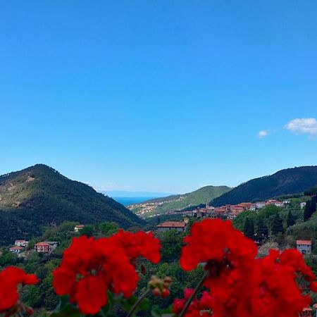 Castiglione Chiavarese Camera Tra Le Cinque Terre, Camogli E Portofino. Vista Valle E Scorcio Mare All'Orizzonte المظهر الخارجي الصورة