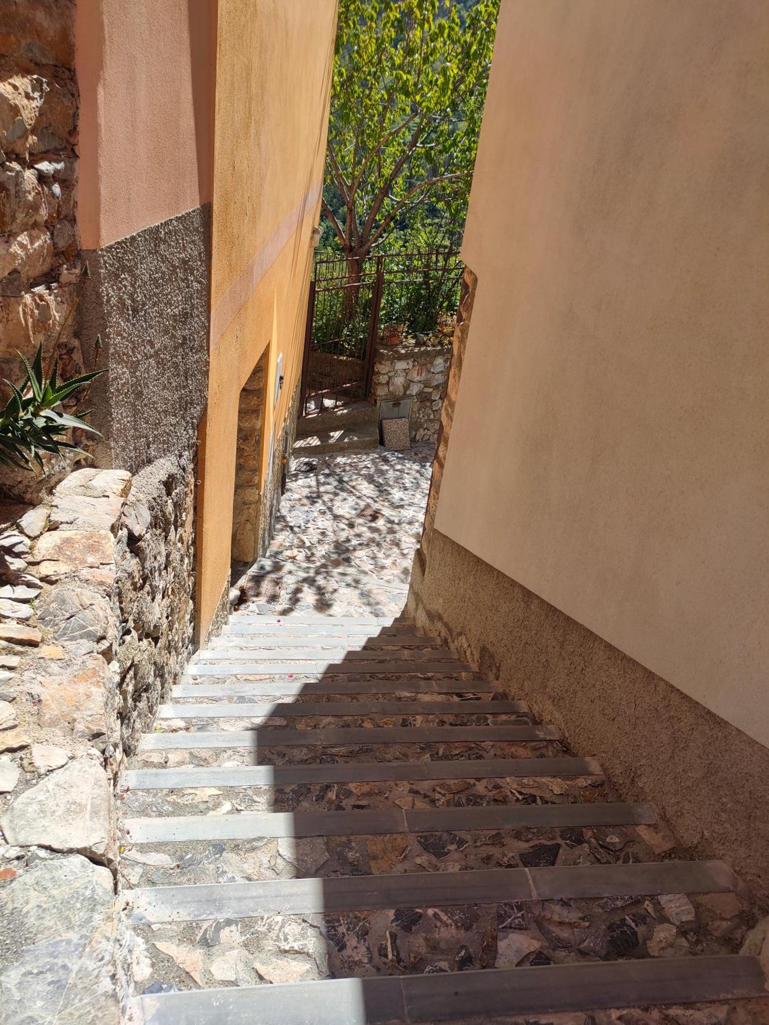 Castiglione Chiavarese Camera Tra Le Cinque Terre, Camogli E Portofino. Vista Valle E Scorcio Mare All'Orizzonte المظهر الخارجي الصورة